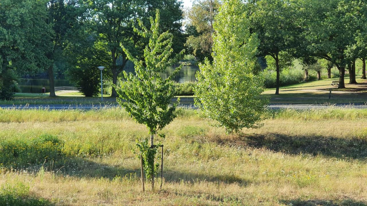 Logies Bij Wandelpad Te ホルテン エクステリア 写真